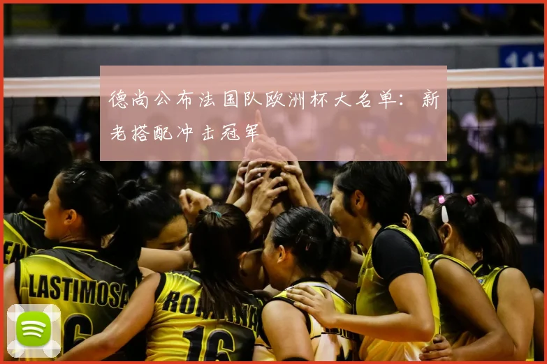 德尚公布法国队欧洲杯大名单:新老搭配冲击冠军