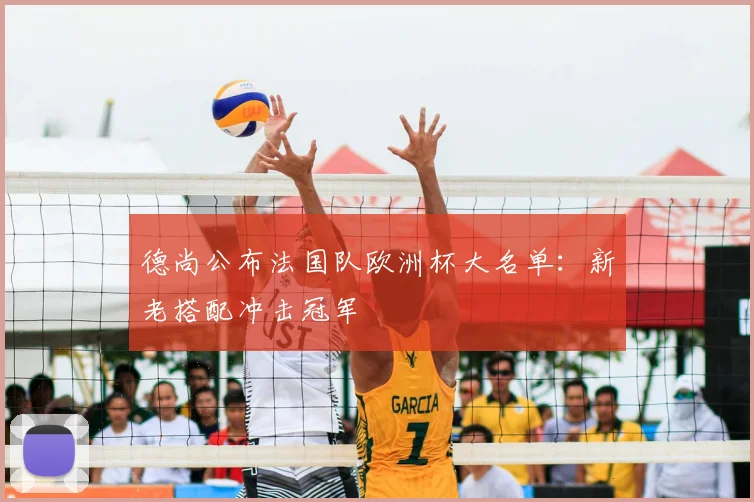 德尚公布法国队欧洲杯大名单：新老搭配冲击冠军